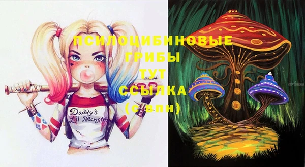 а пвп мука Баксан
